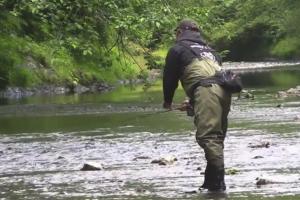 News & Tips: Fish the Finest Brook Trout Streams at Shenandoah Park...