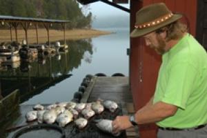 Angler standing a fillet station filleting panfish