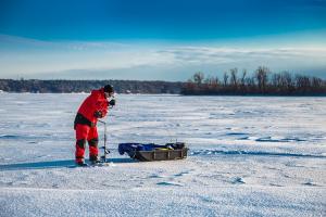 News & Tips: Icing the Perch of Winter