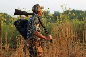 News & Tips: Shotgun and Gear Choices for Dove Hunting...