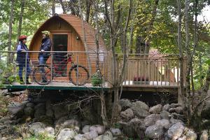 Tree House Glamping 