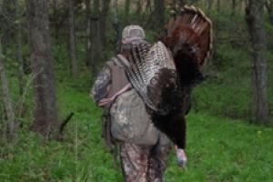 News & Tips: Troubleshooting Your Turkey Hunt