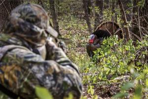 News & Tips: A How-To Guide to Spring Turkey Hunting (infographic)...