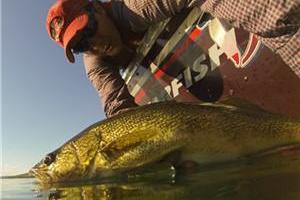 News & Tips: Top 3 Places to Catch More Walleye This Fall...