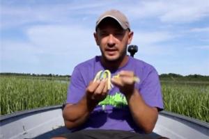 News & Tips: Finesse Fishing Baits How To (video)