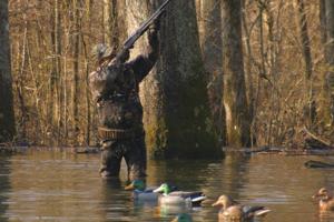 News & Tips: 10 Shooting Tips to Bag More Ducks