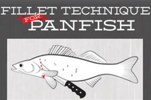 News & Tips: 6 Easy How-To Steps to Fillet Bass, Crappie & Perch (infographic)...