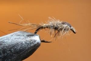 News & Tips: In Praise of Scruffy Flies