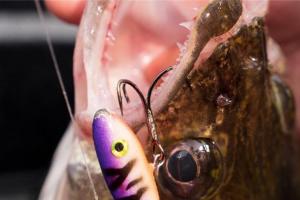 Slow Trolling Tactics For Walleyes