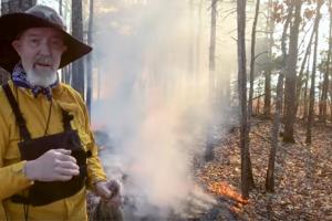 News & Tips: How Prescribed Fire Improves Whitetail Habitat (video)...