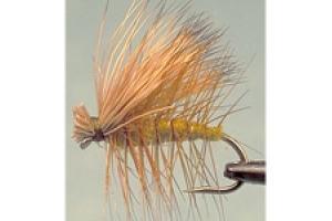 News & Tips: Fly-Fishing With Caddis