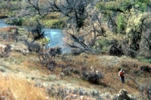 News & Tips: Buying Land for Deer Hunting