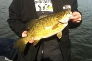 News & Tips: Prespawn Smallies