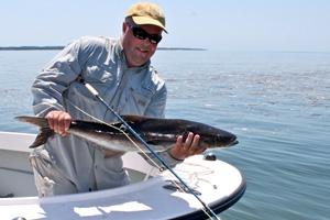 News & Tips: Late May Fishing Trip Leads to Exciting Cobia Pursuit...