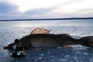 News & Tips: Choosing the Best Ice Fishing Combo