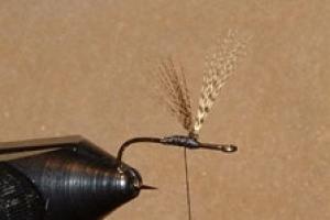 News & Tips: Fly Fishing: How to Tie Two Types of Upright Wings on Dry Flies...