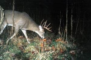 News & Tips: Reflections on Past Hunting Seasons