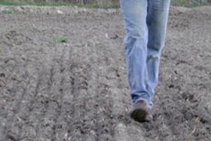 News & Tips: Food Plot Basics: It's All in the Dirt...