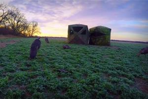 News & Tips: How to Decoy for Turkey Hunting, Plus Bow Hunting Turkey in a HUGE Nebraska Flock  (video)...