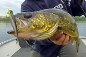 News & Tips: Fancy Minnows, Specialty Heads for Fickle Walleye...