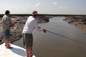 News & Tips: How to Fish Skinny Waters for Redfish