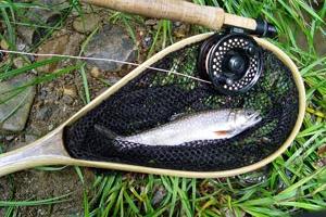 News & Tips: 4 Tips for Fly Fishing Early Summer Native Brook Trout...