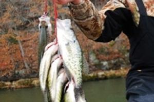 News & Tips: Cold Weather, Hot Crappie