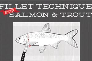 News & Tips: 5 Simple Steps to Fillet Salmon, Trout, Walleye, Striped Bass (infographic)...