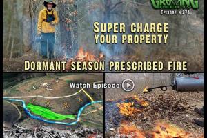 News & Tips: Prescribed Fire: Improving Whitetail Habitat (video)...