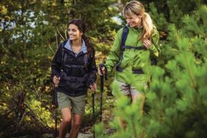 News & Tips: The Versatile Walking Stick