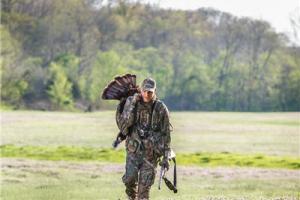 News & Tips: Using Woodsmanship Skills to Hunt Turkeys...