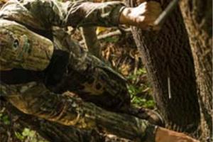 News & Tips: Tree Stand Safety Tips