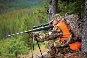 News & Tips: Choosing the Best Ammo Caliber for Hunting Plus Ammo Terms...