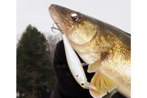 News & Tips: Suspending Jerkbaits for Winter River Walleyes...