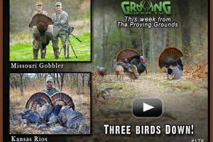 News & Tips: Bow Hunting a Kansas Rio & the Missouri Turkey Opener...