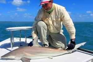 News & Tips: What You Need to Know About Flats Fishing for Sharks...