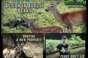 News & Tips: How to Deer Hunt a New Property