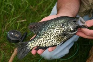 News & Tips: Add Fly Fishing to Your Camping Adventure List...