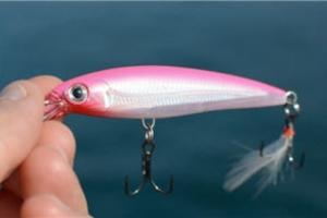 News & Tips: Try Bright Baits When Sight-Fishing Bass...