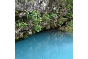 News & Tips: Hiking the Blue Spring Trail in the Missouri Ozarks...