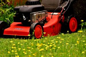 News & Tips: How Mowing Your Lawn Can Make You a Better Bowhunter...