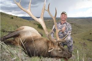 Hunter with downed elk