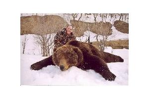 News & Tips: Alaska's Giant Brown Bears