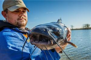 News & Tips: 4 Weird Baits That Catch Catfish