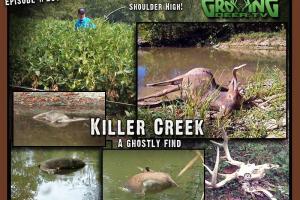 News & Tips: Deer Hunting Strategies: Food Plots, Acorns, & Dead Deer!...