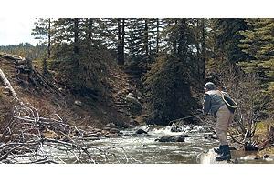 News & Tips: The Wet Fly Swing