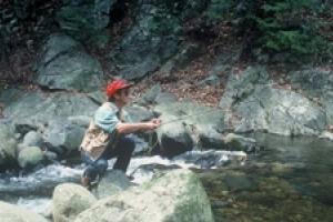 News & Tips: Headwater Brook Trout