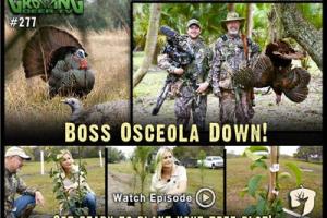 News & Tips: Turkey Hunting: First Hunt for 2015, Osceola Gobbler Down! (video)...