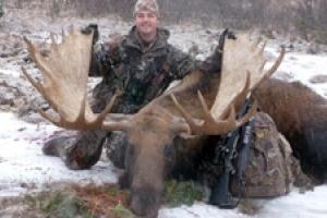 News & Tips: Field Judging Moose
