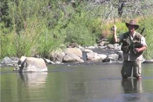 News & Tips: Fishing Redband Trout on the Bruneau River in Nevada...